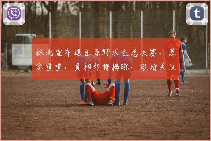 林北宣布退出荒野求生总决赛，悬念重重，真相即将揭晓，敬请关注