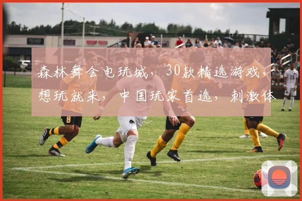 森林舞会电玩城，30款精选游戏，想玩就来，中国玩家首选，刺激体验，一触即发
