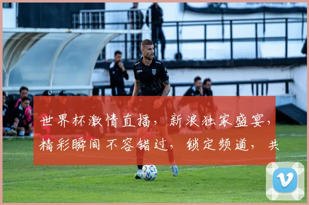世界杯激情直播，新浪独家盛宴，精彩瞬间不容错过，锁定频道，共赏足球魅力
