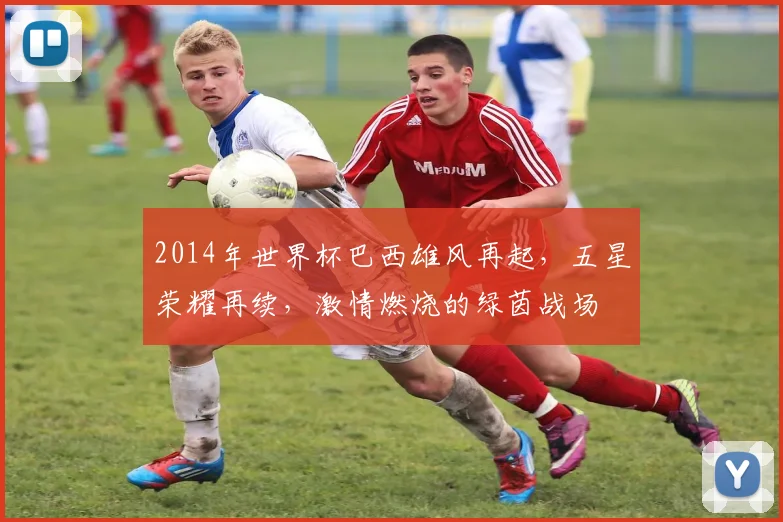 2014年世界杯巴西雄风再起，五星荣耀再续，激情燃烧的绿茵战场