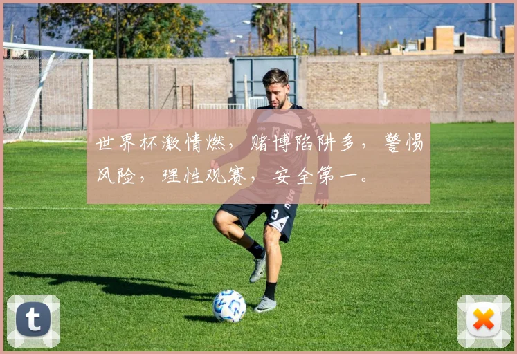 世界杯激情燃，赌博陷阱多，警惕风险，理性观赛，安全第一。