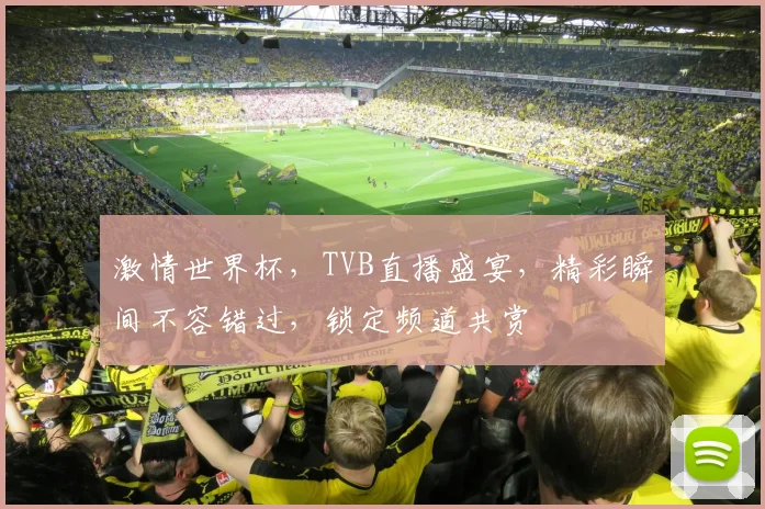 激情世界杯，TVB直播盛宴，精彩瞬间不容错过，锁定频道共赏