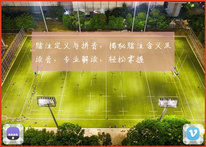 赌注定义与拼音，揭秘赌注含义及读音，专业解读，轻松掌握