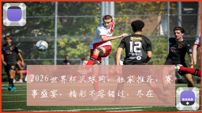 2026世界杯买球网，独家推荐，赛事盛宴，精彩不容错过，尽在